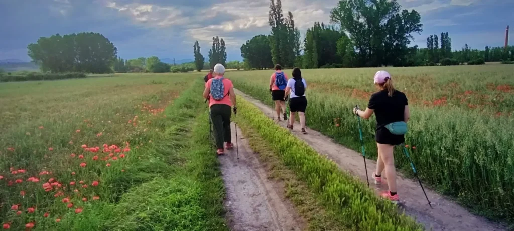 deportes de montaña sierra de francia marcha nórdica 4