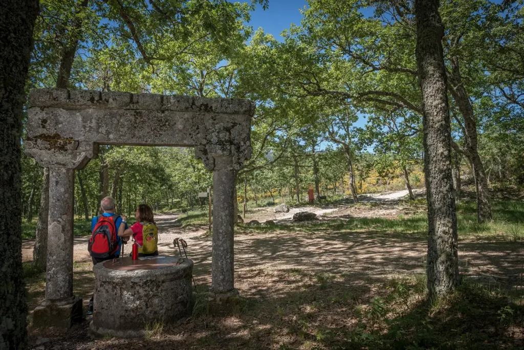 Camino de las raíces 5