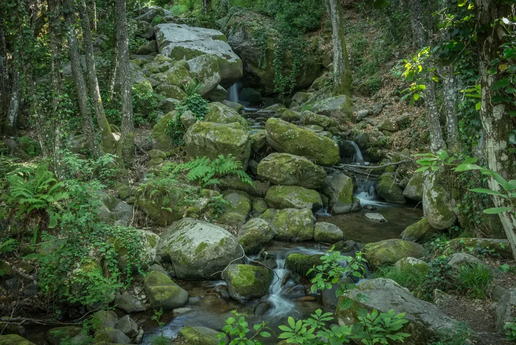 camino del agua sierra de francía verde general 3