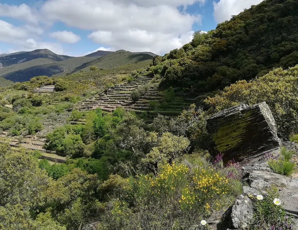 valero sierra de francia 6