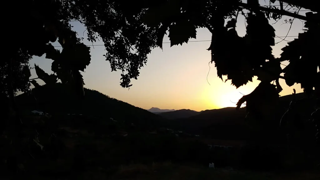 Bodega Vinculo Serrano viña noche