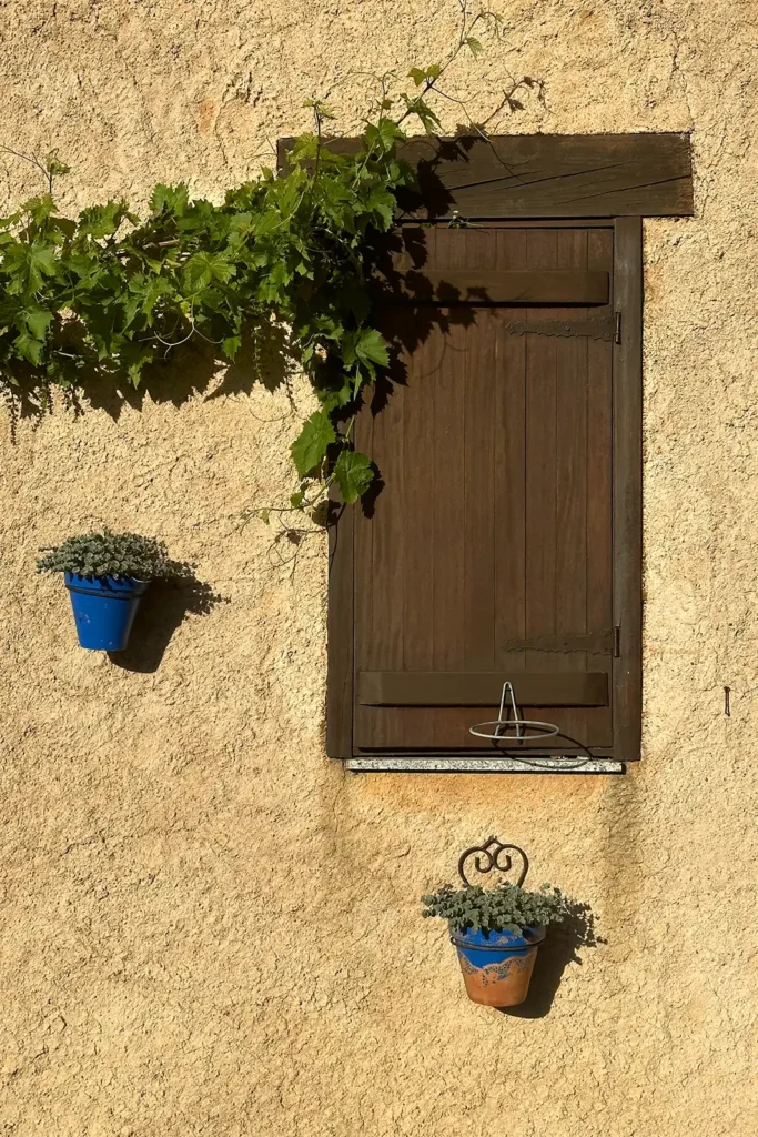 Cilleros de la Bastida - sierra de francia 5