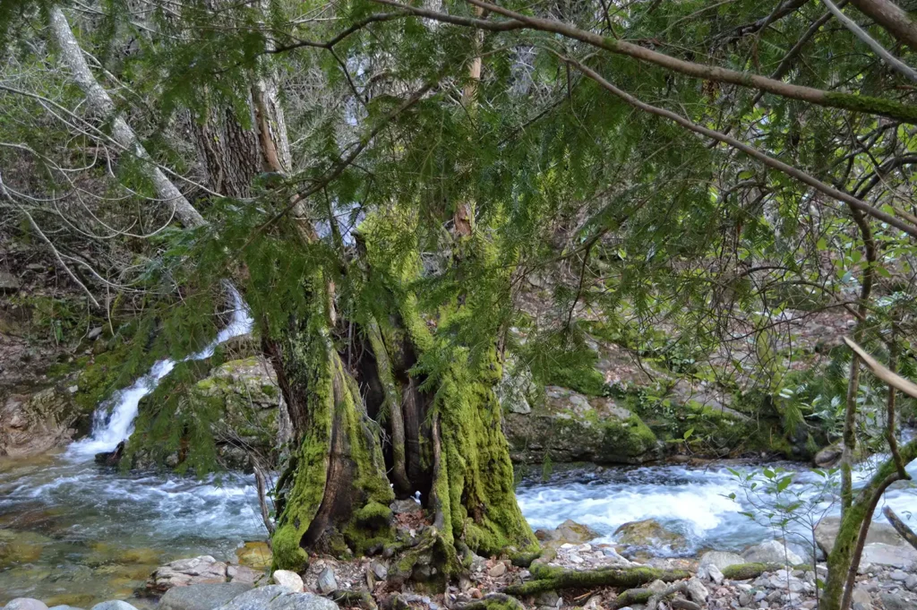 Parque Natural Las Batuecas-Sierra de Francia 2 4