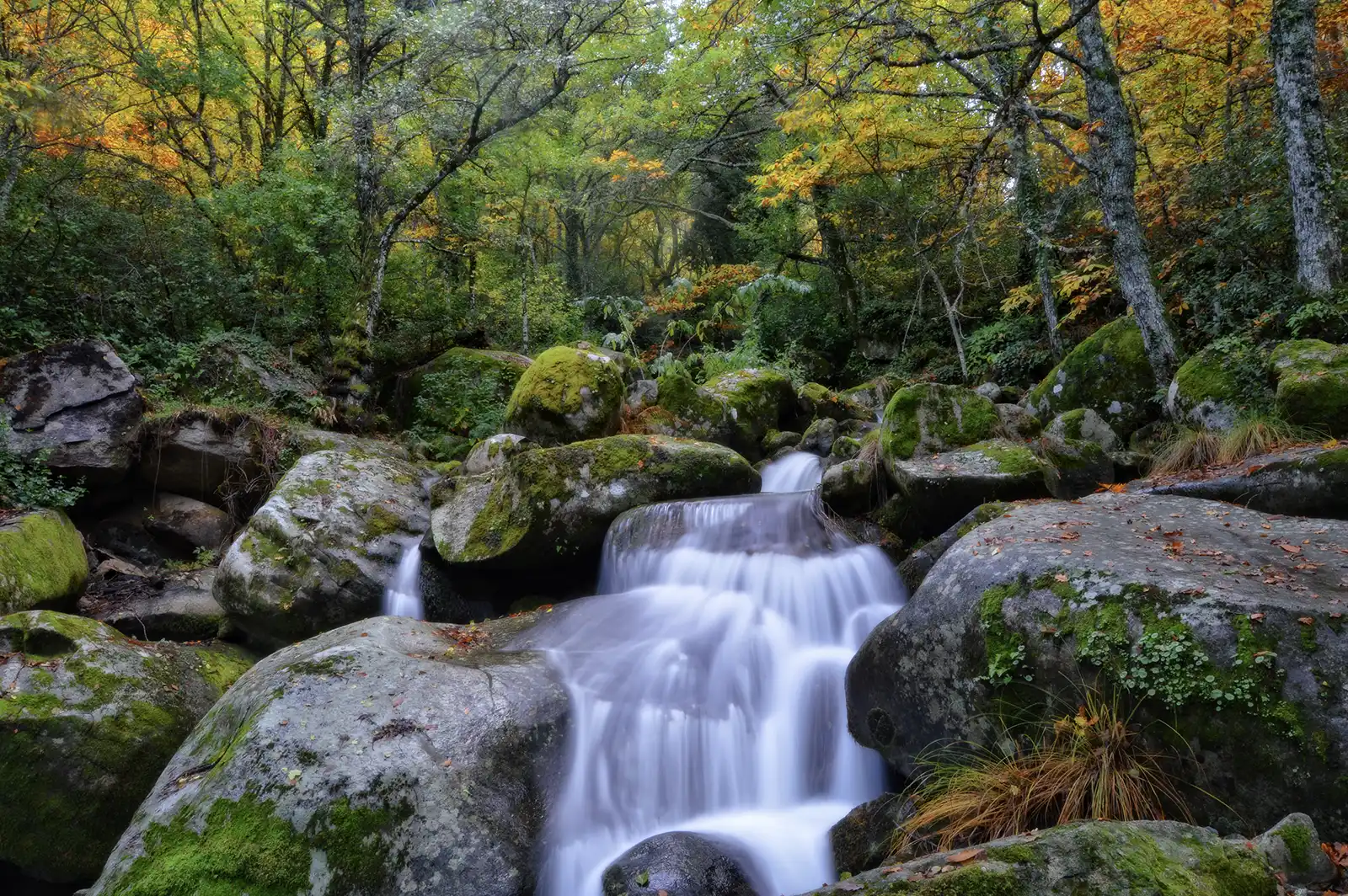 camino del agua en la sierra de francia senderismo 2