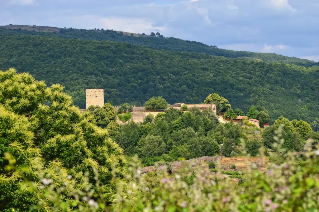 San Martin del Castañar sierra de francia 1