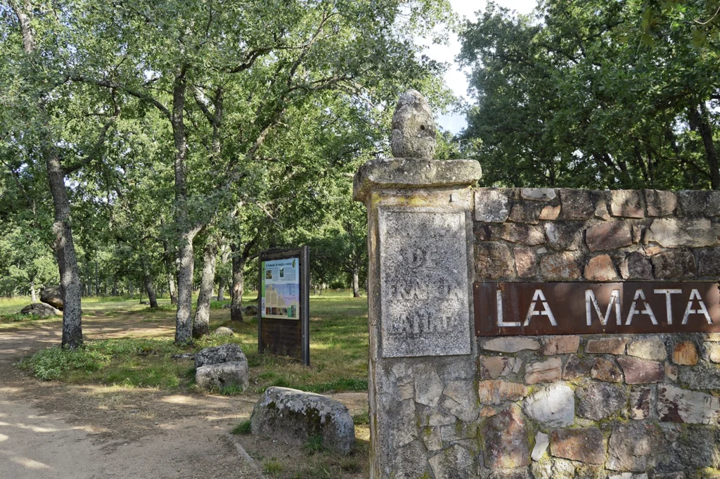 la mata en nava de francia