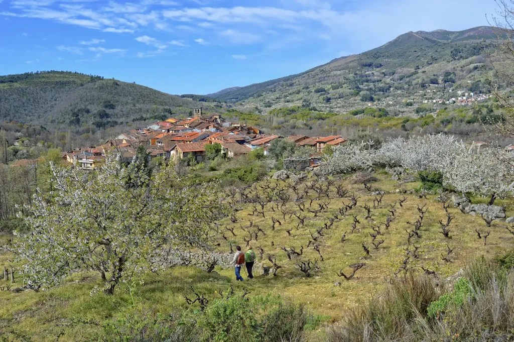 cepeda turismo sierra de francia 6