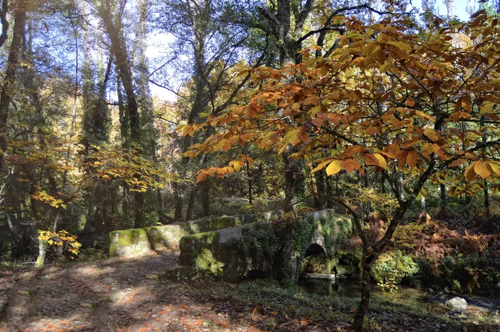 cepeda turismo sierra de francia 8